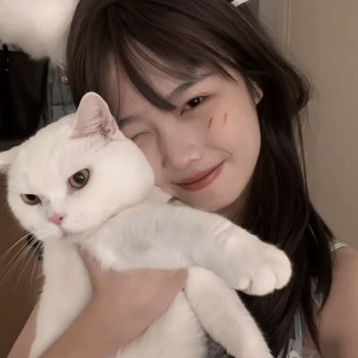 b体育官方app下载手机app下载